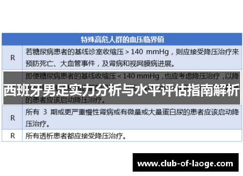 西班牙男足实力分析与水平评估指南解析