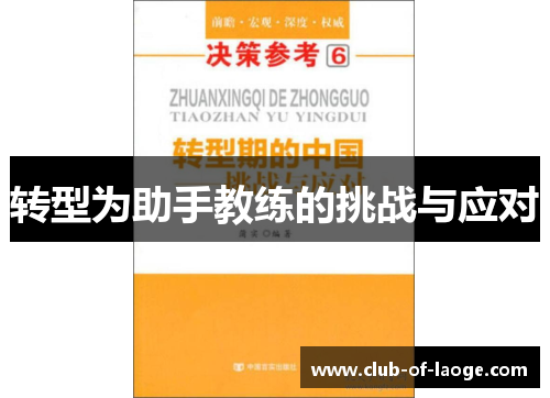 转型为助手教练的挑战与应对