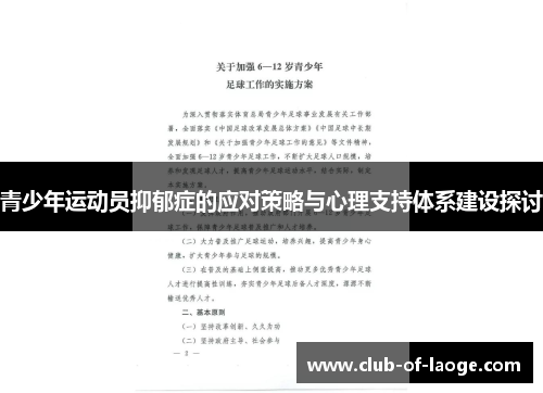 青少年运动员抑郁症的应对策略与心理支持体系建设探讨